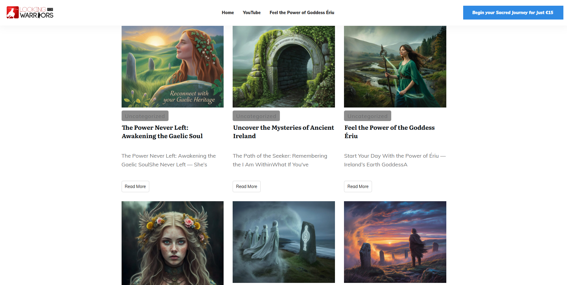 Looking for Warriors WordPress Website